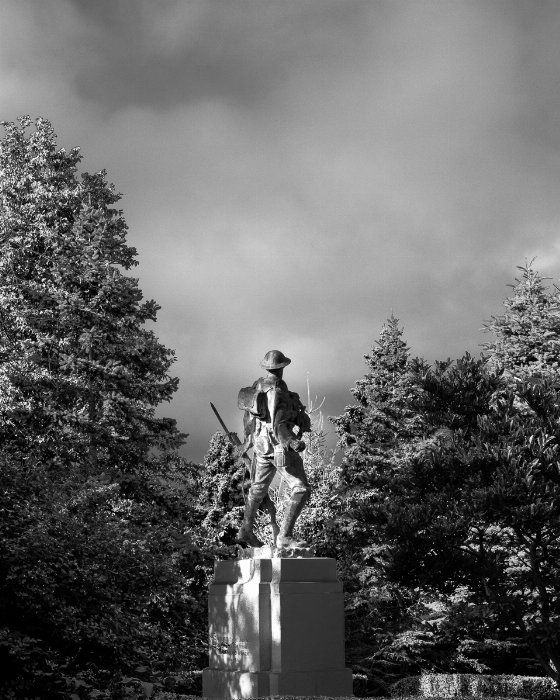 The Soldier Bowring Park - Newfoundland art print