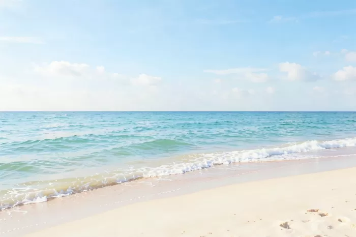 Sandy Serenity