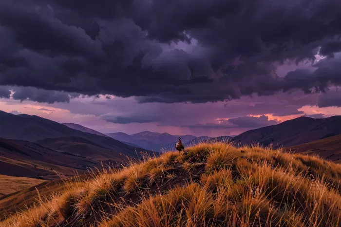 Storm Ridge II