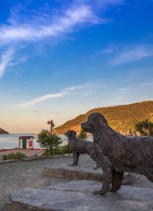 Watchching The Harbour - Newfoundland art print