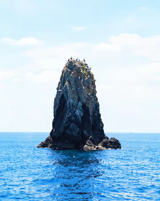 Bird Rock
