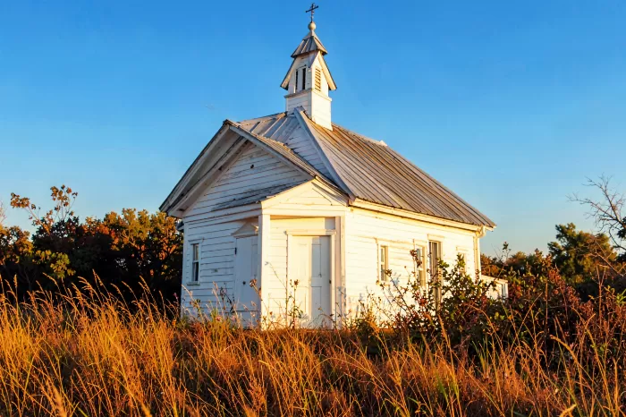 Amber Sanctuary