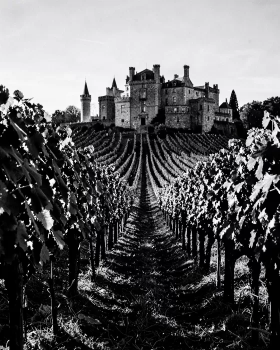 Chateau Rows