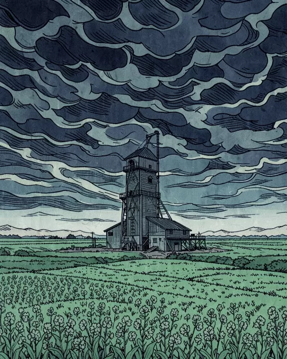 Canola Storm