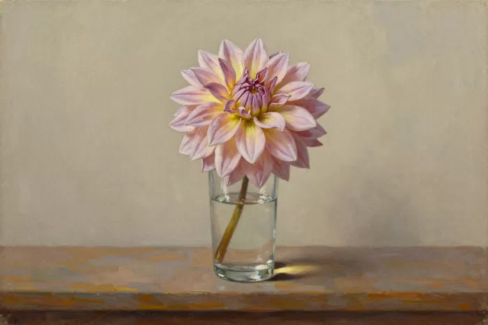 Northern Bloom
