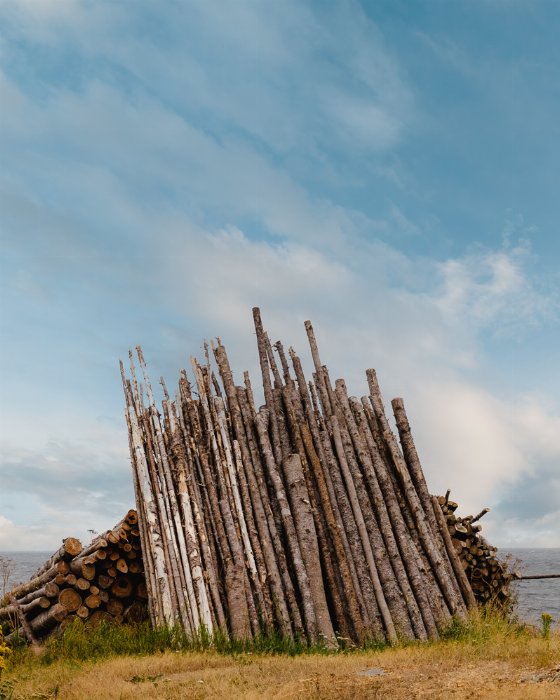 Pops Woodpile - Newfoundland art print