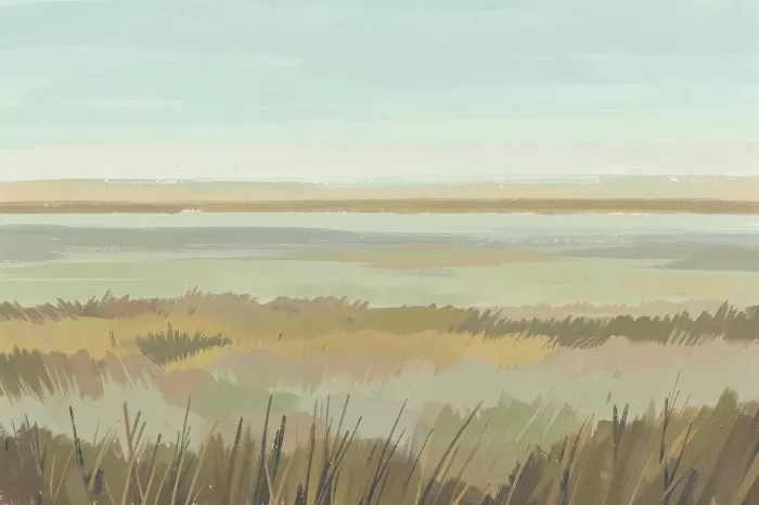 Spartina Bands
