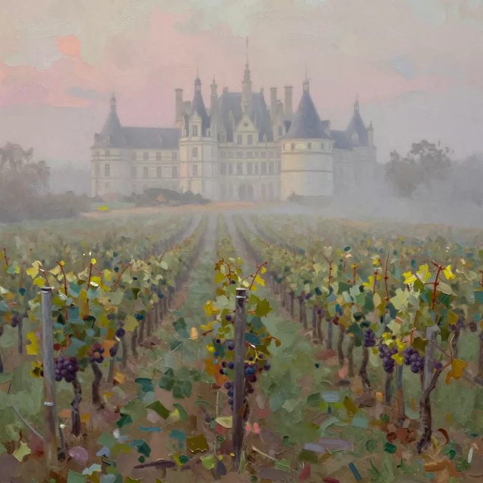 Misty Vineyard