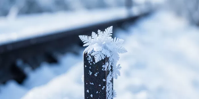 Frost Spike