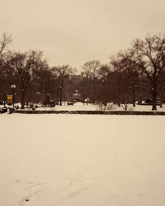 Snowy Park