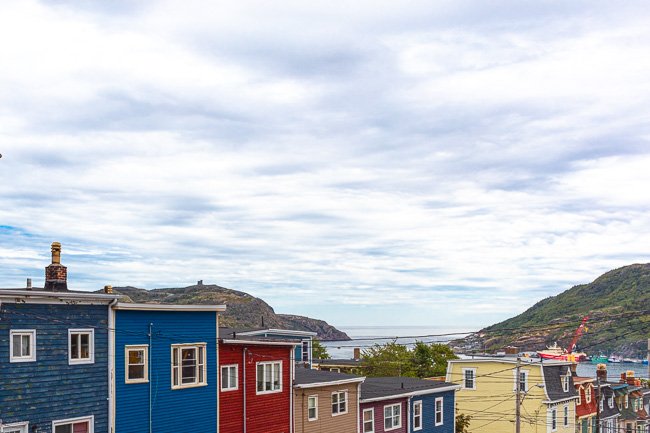 St. John's Row - Newfoundland art print
