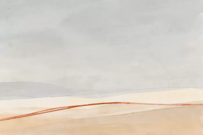 Low Field