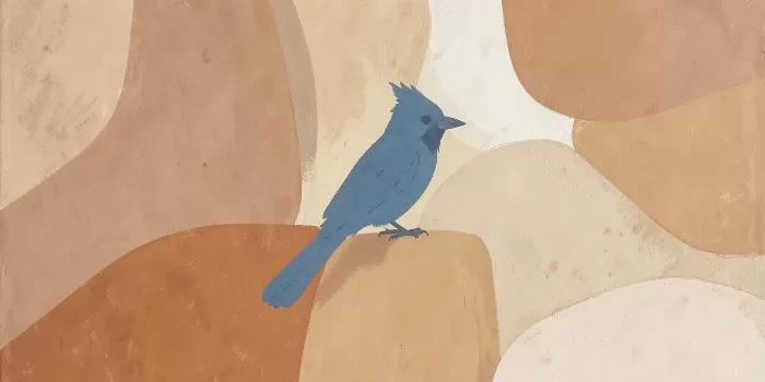 Blue Jay Rising