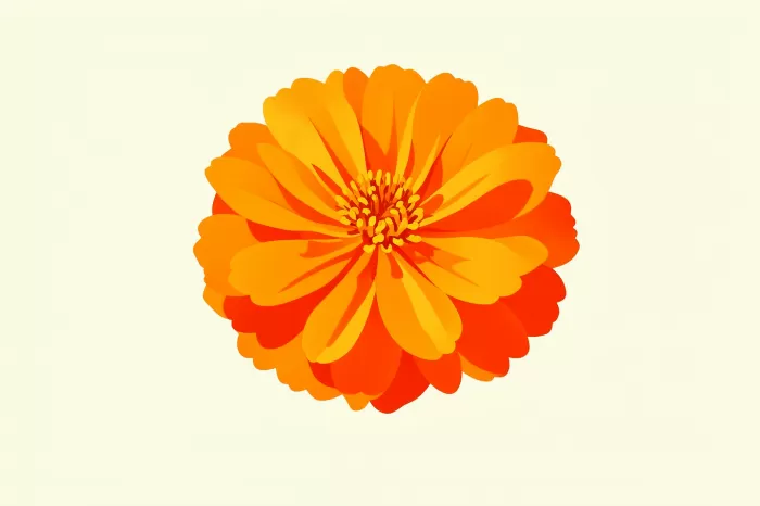Marigold Bloom