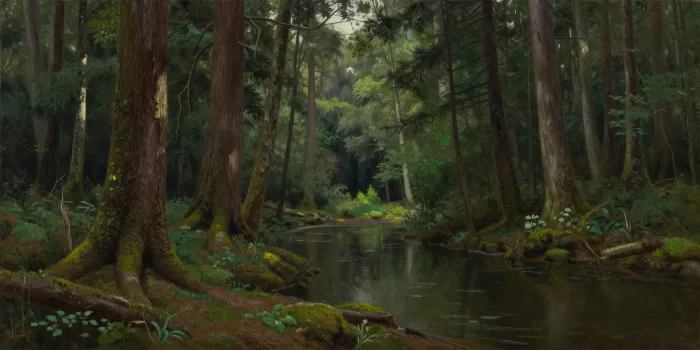 Forest Light