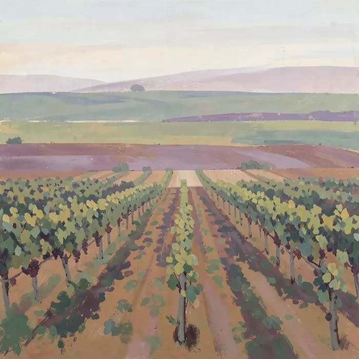 Vineyard Bands