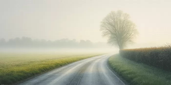 Hedgerow Dawn II