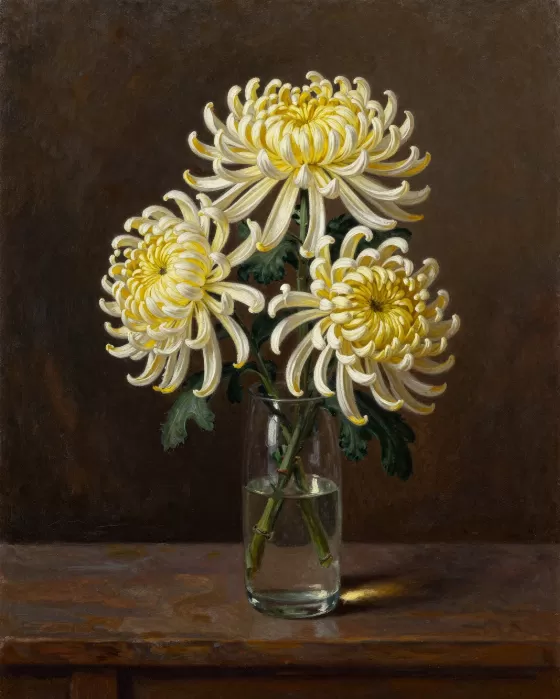 Solitary Chrysanthemum