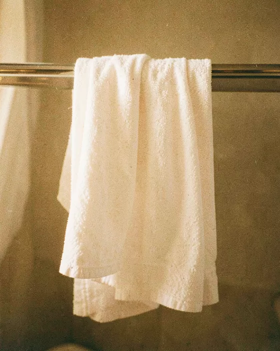 Warm Linen