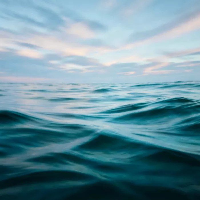 Silky Waves
