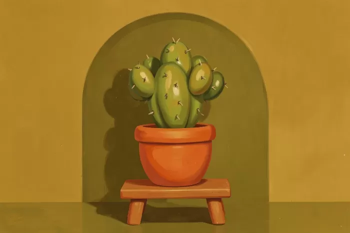 Desert Nook