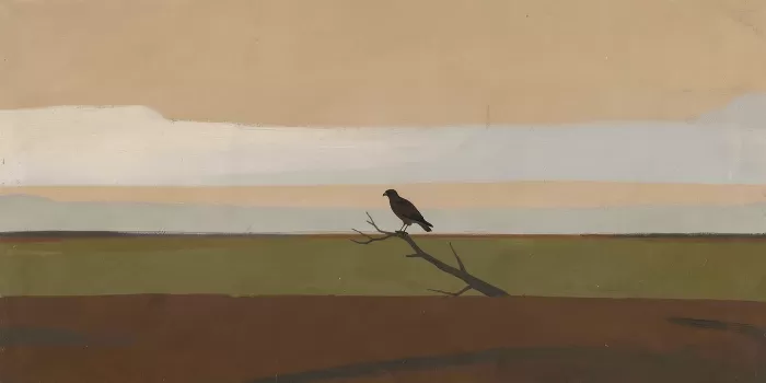 Hawk At Dusk