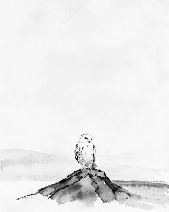 Snow Owl