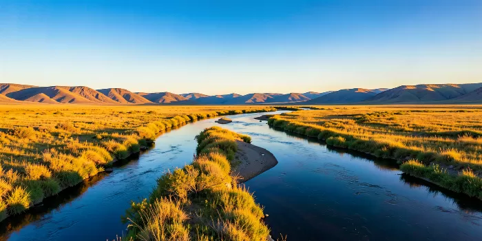 Golden Flats