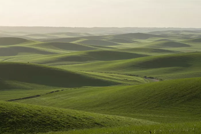 Palouse Hills