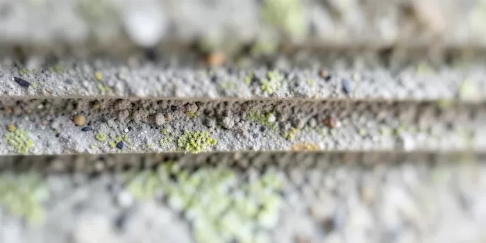 Weathered Layers