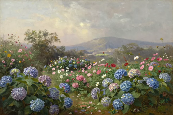 Hydrangea Grandeur