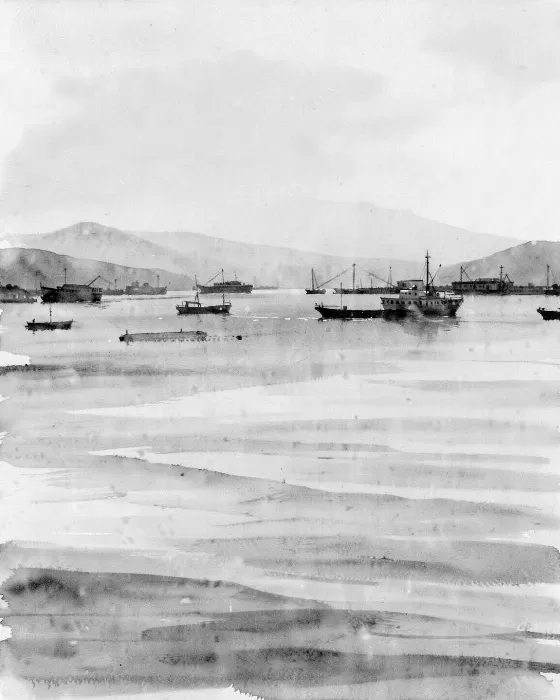Grey Ferries