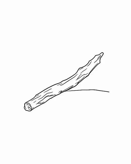 Beach Driftwood