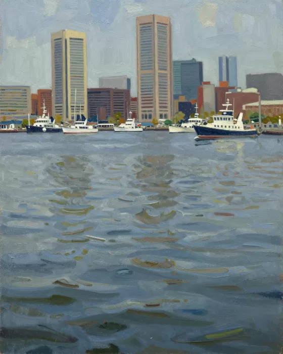 Harbour Boats