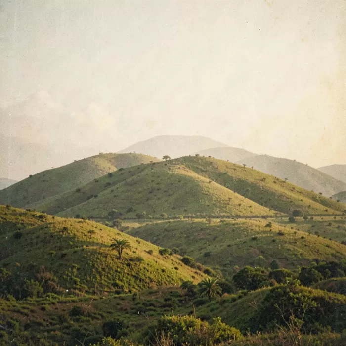 Bohol Mounds