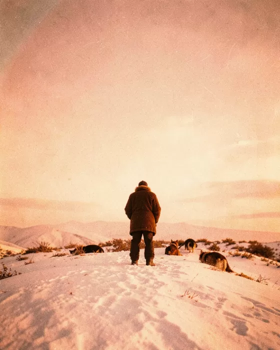 Amber Tundra