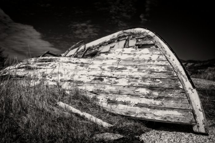The Journey - Newfoundland art print