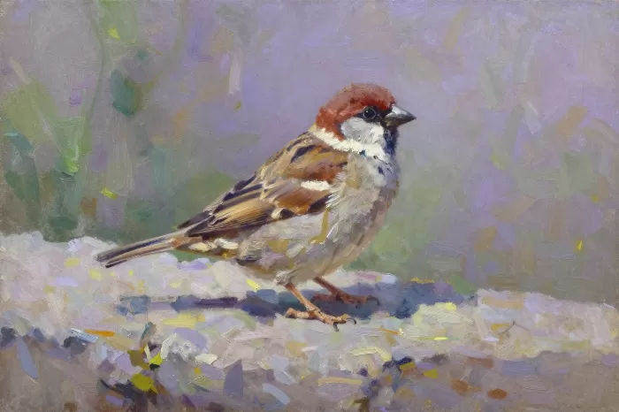 Light Sparrow
