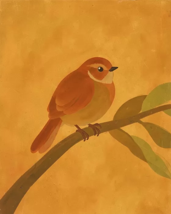 Mustard Wren