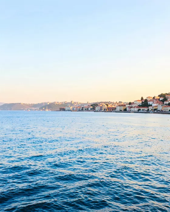 Lisbon Estuary