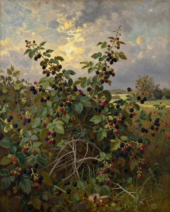 Hedgerow Gold
