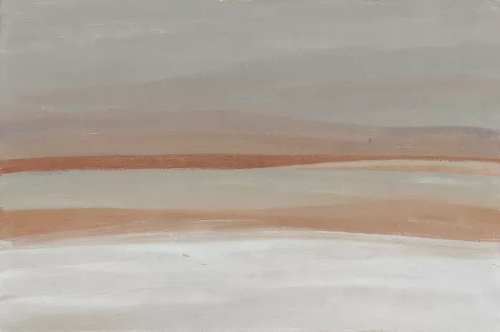 Snowy Field