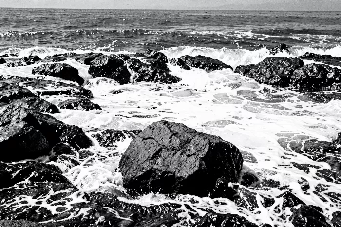 Coastal Contrast