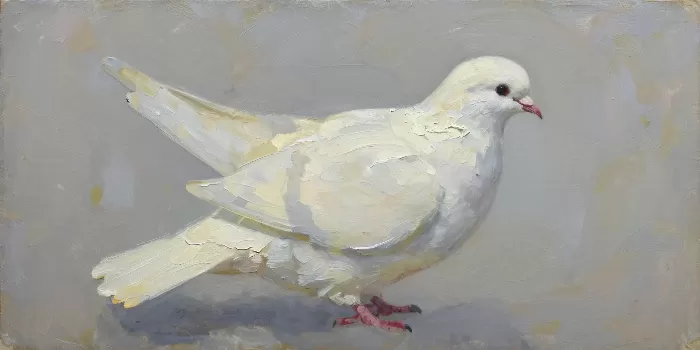 Knife Dove