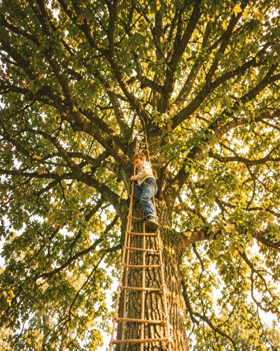 Tree Bound II