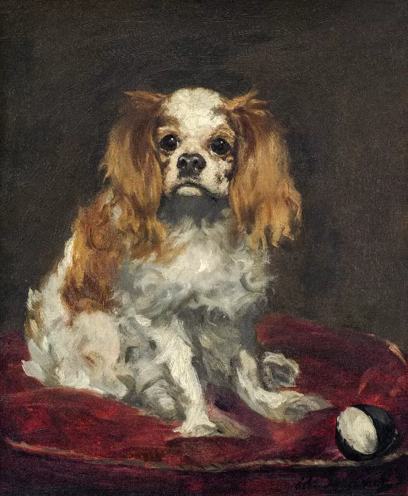 A King Charles Spaniel painting in high resolution by Edouard Manet