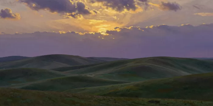 Dusky Meadows