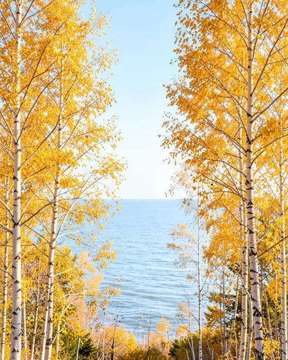 Aspen Ocean