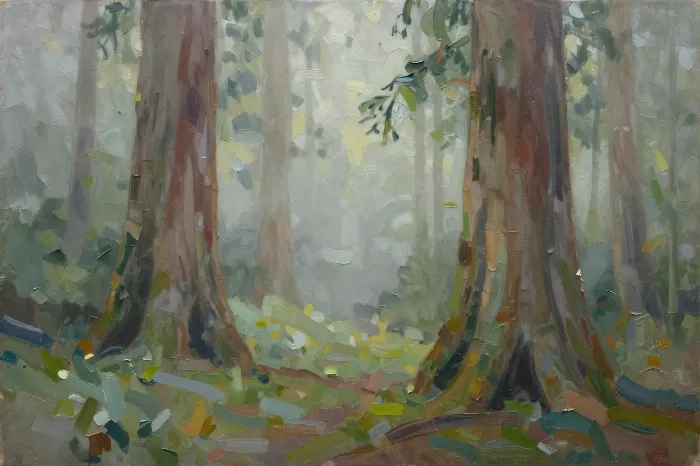 Giant Redwoods