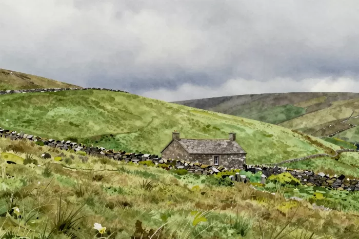 Cloudy Valley